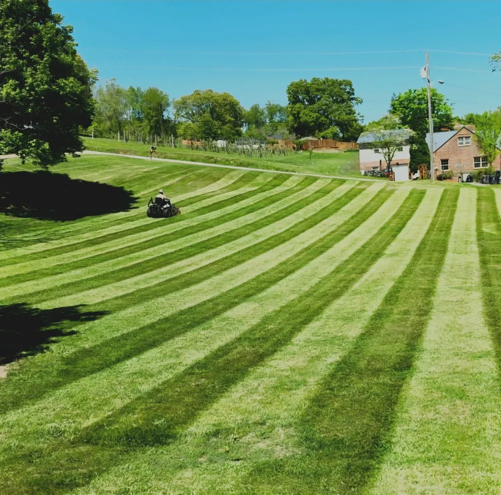Top-rated lawn care service in Rogersville, TN - Yard Smart Lawn Care