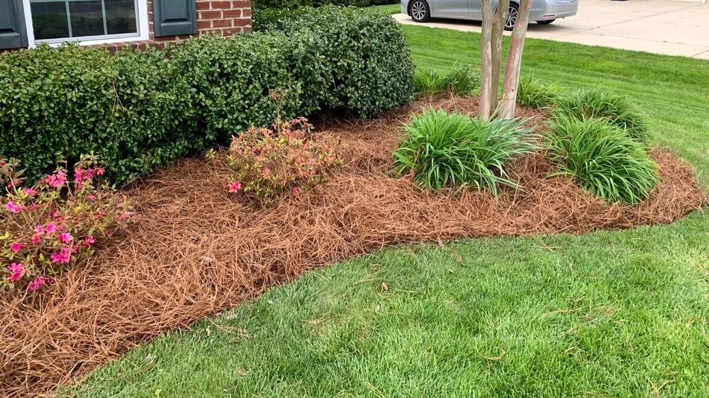 Custom outdoor landscaping experts serving Rolesville, NC - Yard Smart Lawn Care