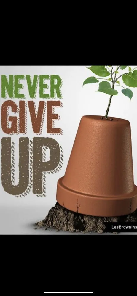 Top-rated garden landscaping in Hialeah, FL - Yard Smart Lawn Service