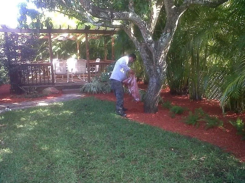Custom landscape design in Hialeah, FL by Yard Smart Lawn Service