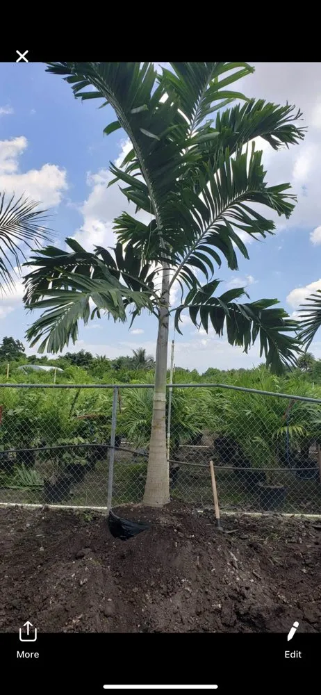 Reliable yard cleanup service for homes across Hialeah, FL - Yard Smart Lawn Service