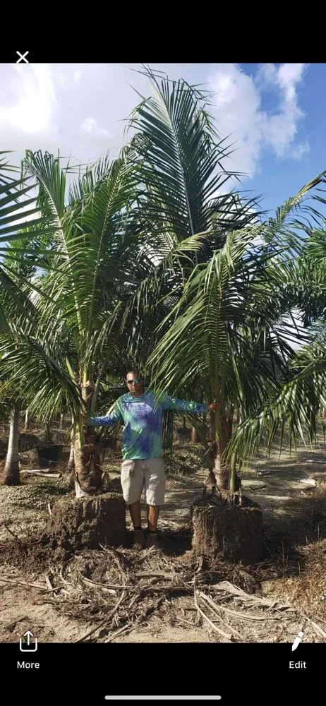 Custom landscaping services in Hialeah, FL - Yard Smart Lawn Service