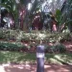 Expert garden landscaping for residential properties in Medley, FL by Yard Smart