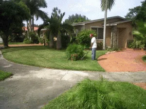 Top-rated yard cleanup service in Medley, FL by Yard Smart