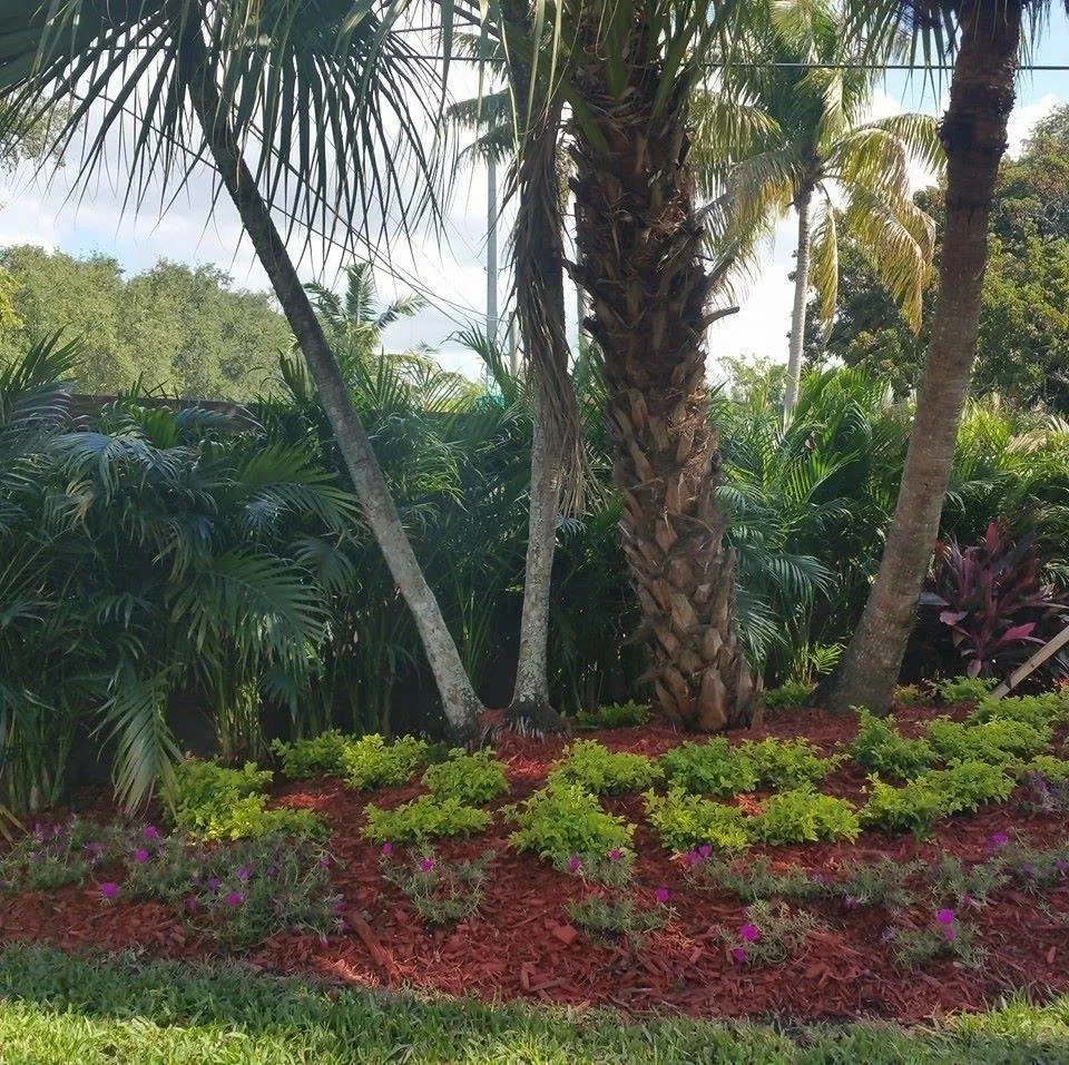 Trusted outdoor landscaping near you across Medley, FL - Yard Smart