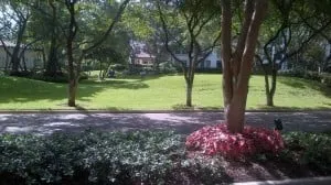 Top-rated garden landscaping experts serving Medley, FL - Yard Smart