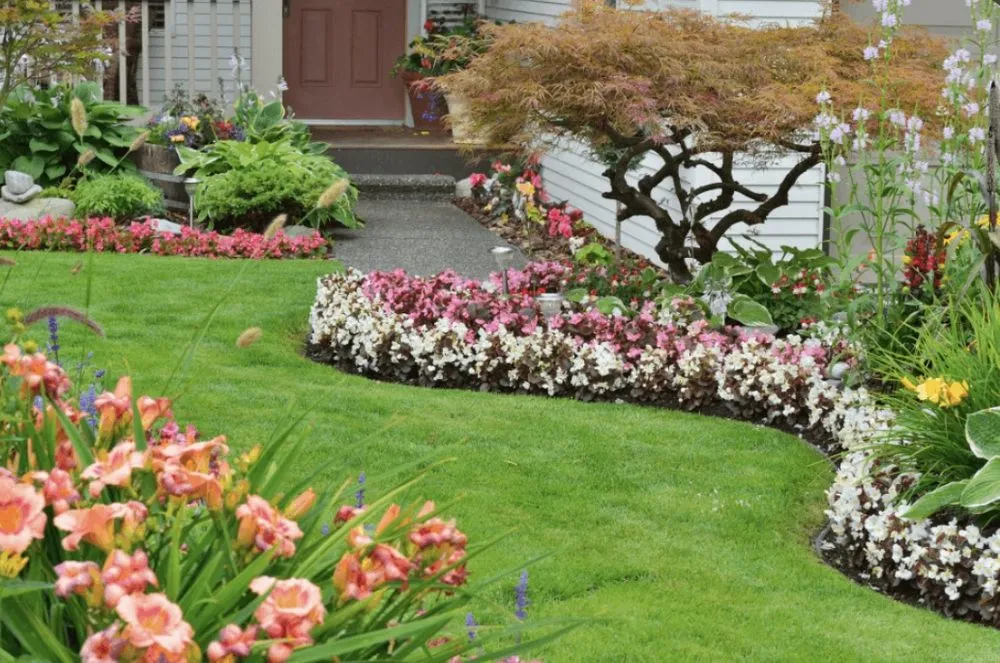 Top-rated lawn care service in Wayne, MI - Yard Smart