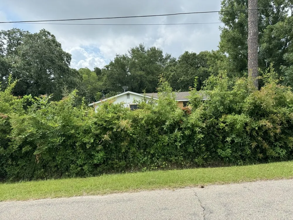 Local lawn care service experts serving Brandon, MS - Yard Smiths Lawn Care