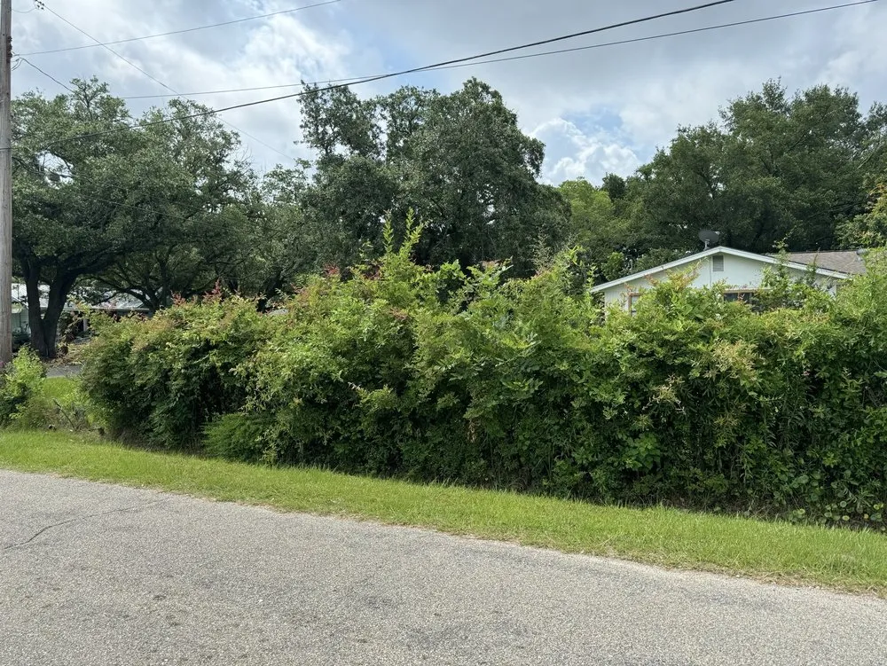 Expert residential landscaping for year-round maintenance in Brandon, MS by Yard Smiths Lawn Care