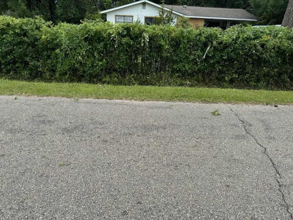 Expert lawn care service for residential properties in Brandon, MS by Yard Smiths Lawn Care