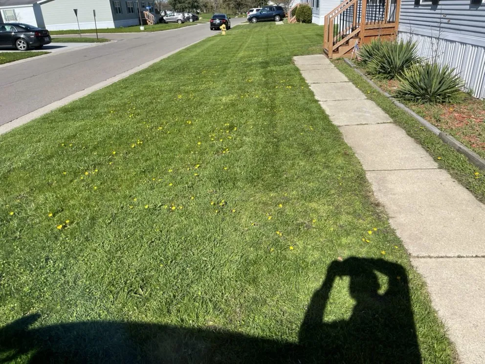 Top-rated outdoor landscaping experts serving Flint, MI - Yard Solutions & Outdoor services