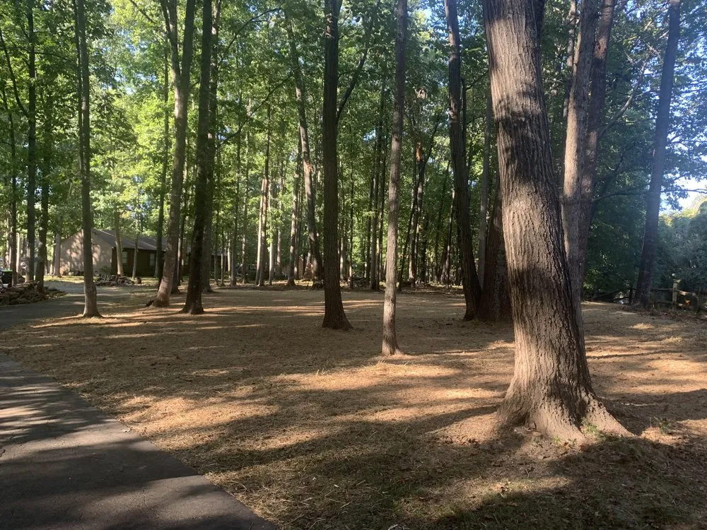 Trusted lawn mowing service for homes across Amherst, VA - Yard Solutions