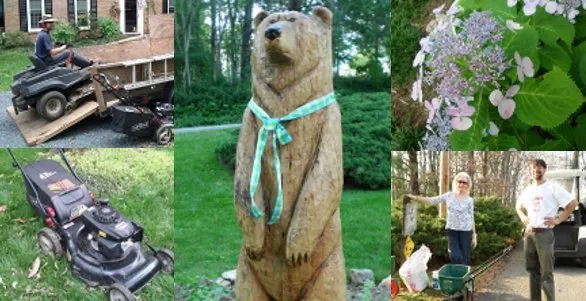 Local yard cleanup service near you across Amherst, VA - Yard Solutions