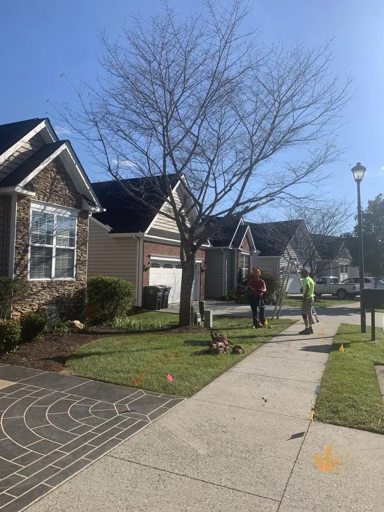 Reliable outdoor landscaping in Amherst, VA by Yard Solutions