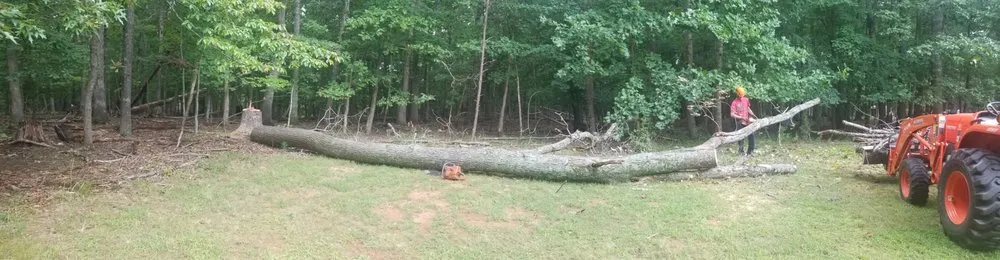 Professional lawn mowing service near you in Amherst, VA by Yard Solutions