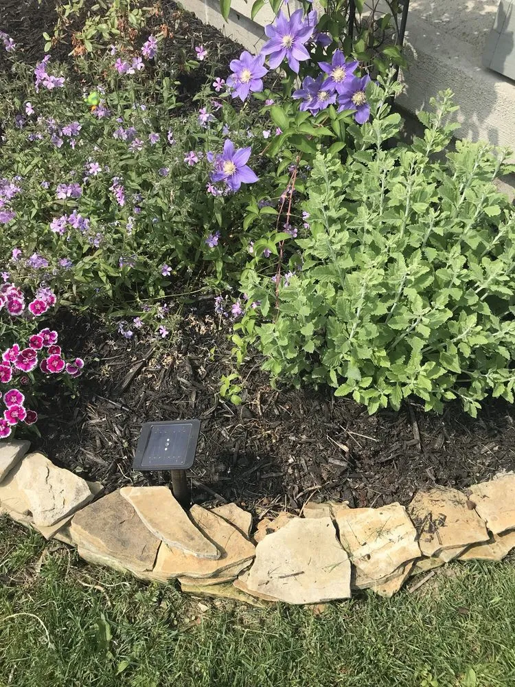 Local landscape design for year-round maintenance in Groveport, OH by Yard Solutions