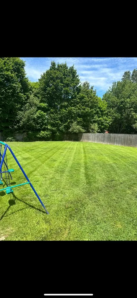 Expert yard cleanup service experts serving Jonesboro, AR - Yard Solutions