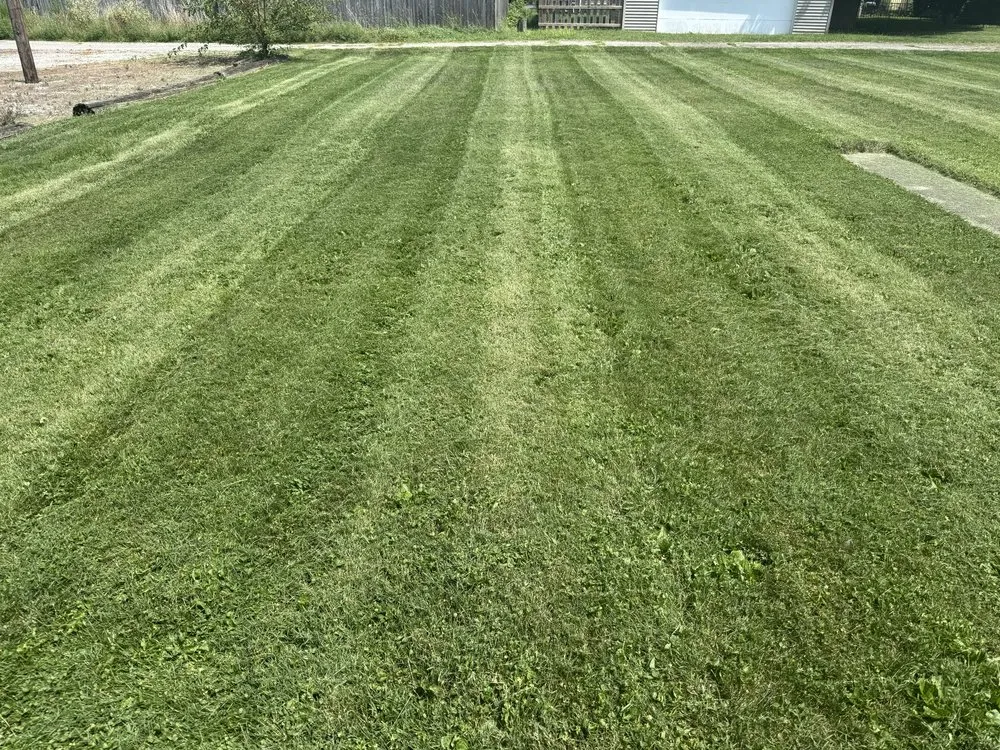 Top-rated outdoor landscaping for beautiful yards across Jonesboro, IN - Yard Solutions