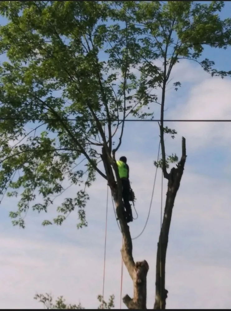 Top-rated landscaping services experts serving Kettering, OH - Yard solutions Landscaping & Tree care