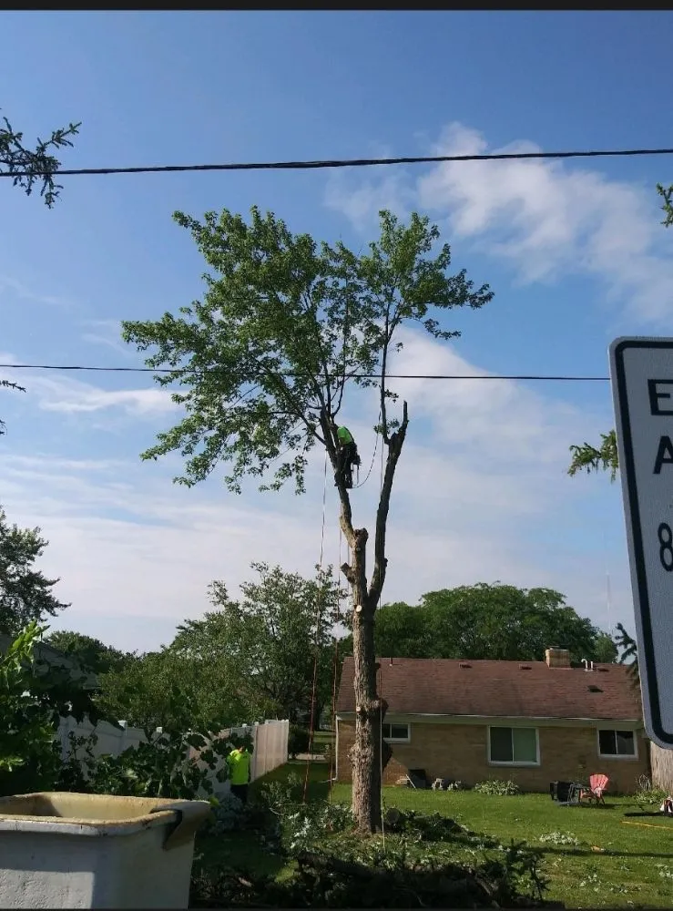 Trusted lawn mowing service in Kettering, OH by Yard solutions Landscaping & Tree care