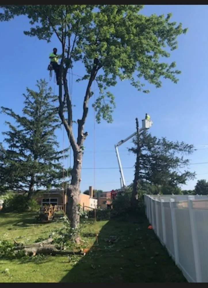 Custom lawn mowing service in Kettering, OH - Yard solutions Landscaping & Tree care