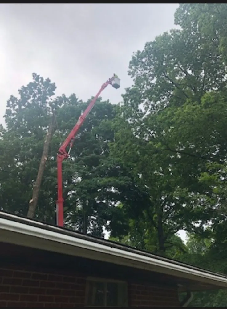 Expert garden landscaping experts serving Kettering, OH - Yard solutions Landscaping & Tree care