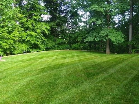 Professional landscaping services for year-round maintenance in Palmyra, VA by Yard Solutions