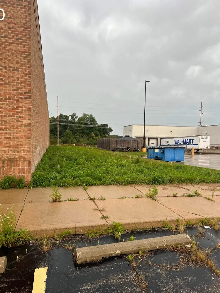 Affordable yard cleanup service for homes in Battle Creek, MI by Yard Squad