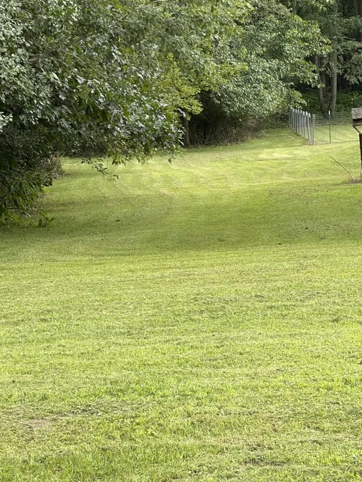 Reliable yard cleanup service in Battle Creek, MI - Yard Squad