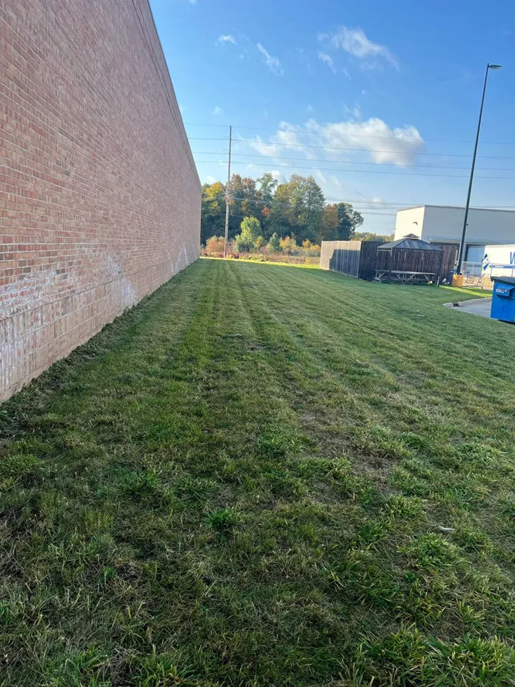 Professional yard cleanup service for outdoor upgrades in Battle Creek, MI by Yard Squad