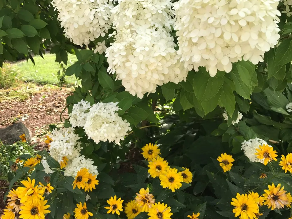 Professional garden landscaping with custom design in Johnston, RI by Yard Stick Inc.