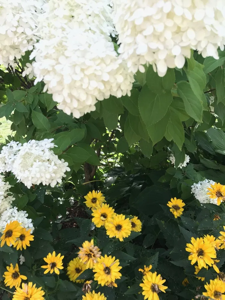 Top-rated lawn mowing service for outdoor upgrades in Johnston, RI by Yard Stick Inc.