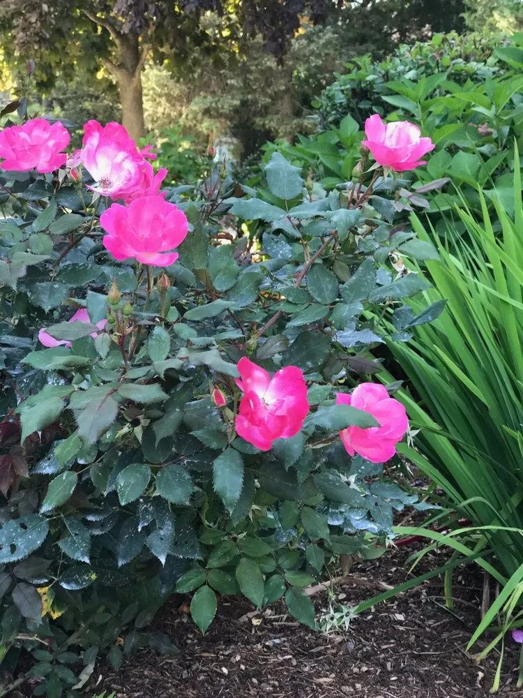 Trusted landscaping services for beautiful yards across Johnston, RI - Yard Stick Inc.