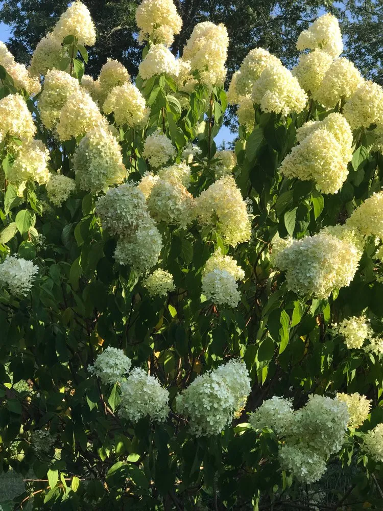 Top-rated lawn care service in Johnston, RI - Yard Stick Inc.