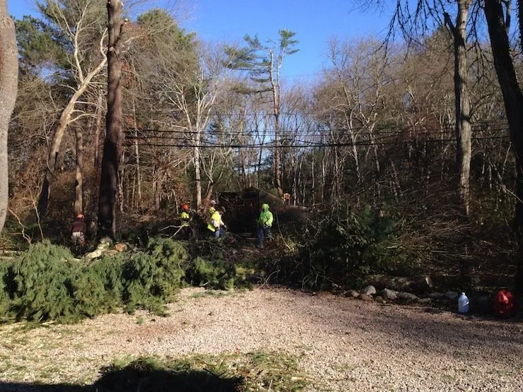 Reliable landscaping services for residential properties in Johnston, RI by Yard Stick Inc.