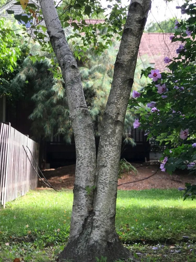 Top-rated residential landscaping for residential properties in Johnston, RI by Yard Stick Inc.