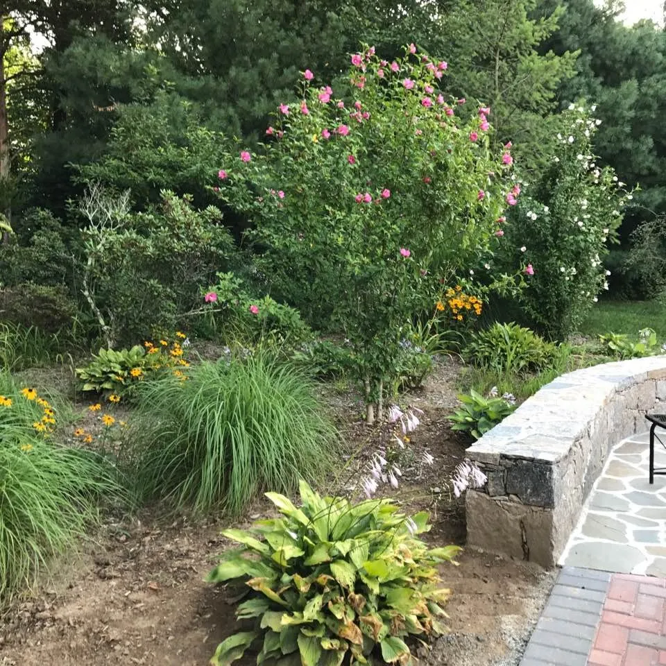 Professional lawn care service in Johnston, RI - Yard Stick Inc.