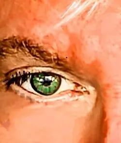 Custom yard cleanup service in Mount Dora, FL - Yard Stop Garden Center