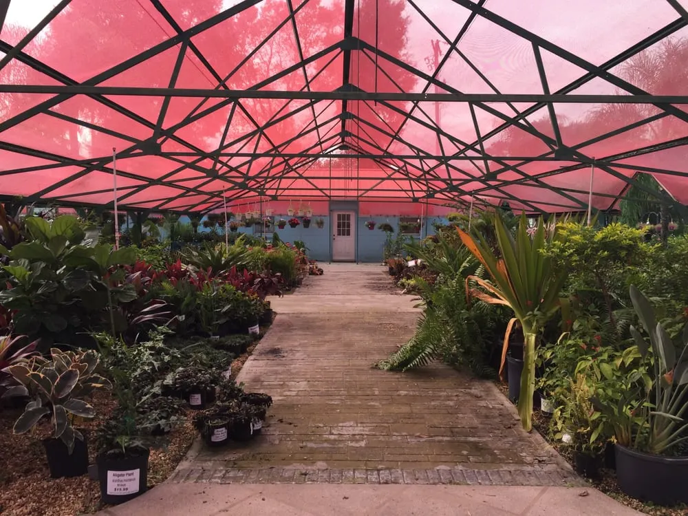 Expert outdoor landscaping for beautiful yards in Mount Dora, FL by Yard Stop Garden Center