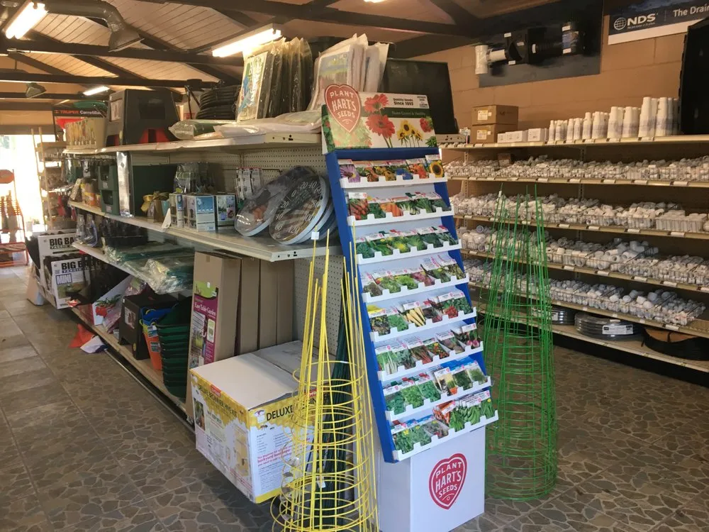 Trusted yard cleanup service for residential properties across Mount Dora, FL - Yard Stop Garden Center