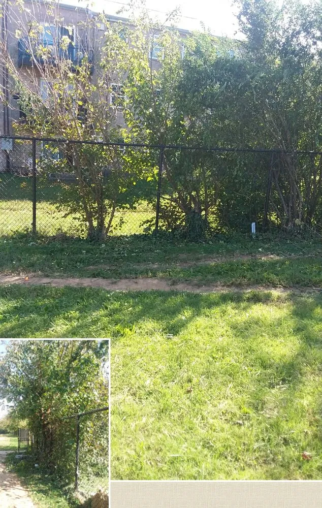 Top-rated lawn care service experts serving Fredericksburg, VA - Yard Surgeon