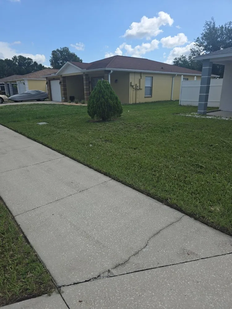 Top-rated outdoor landscaping experts serving Tampa, FL - Yard Surgeon