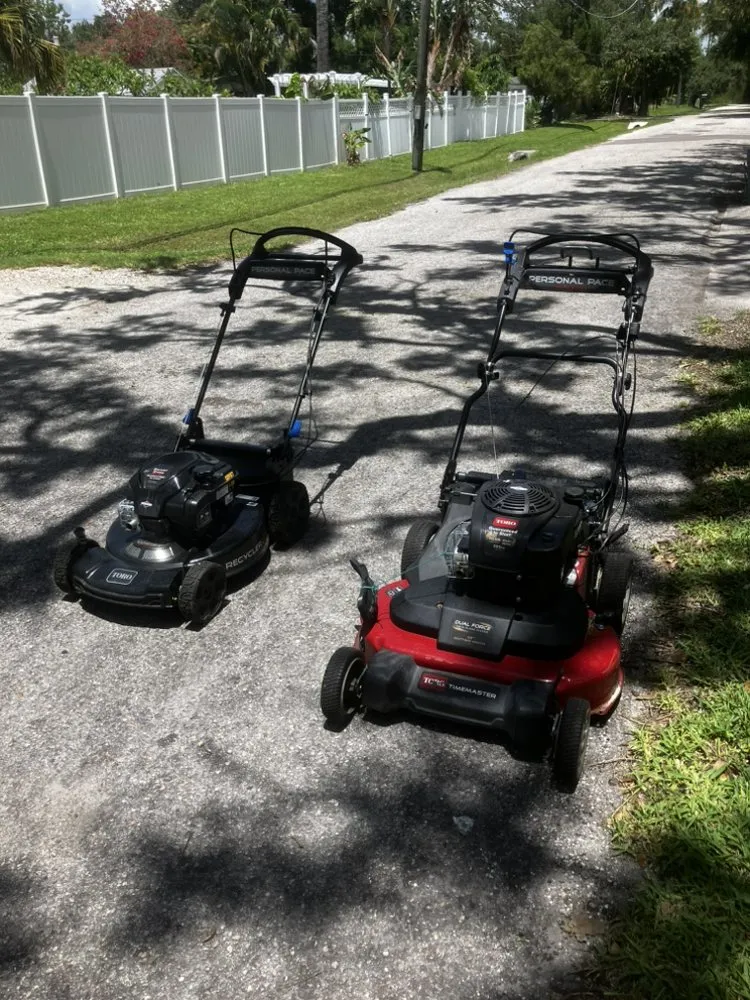 Professional yard cleanup service in Tampa, FL - Yard Surgeon