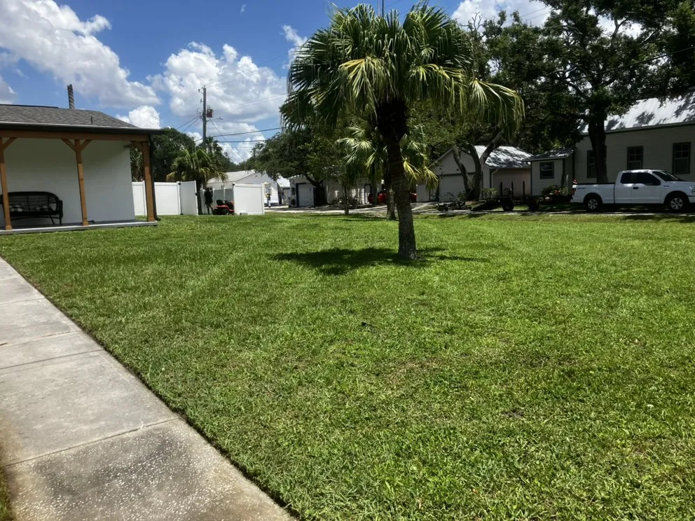 Professional landscaping services in Tampa, FL - Yard Surgeon