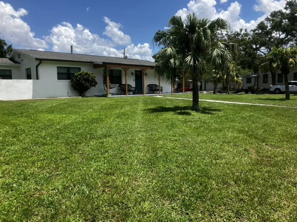 Custom landscape design experts serving Tampa, FL - Yard Surgeon