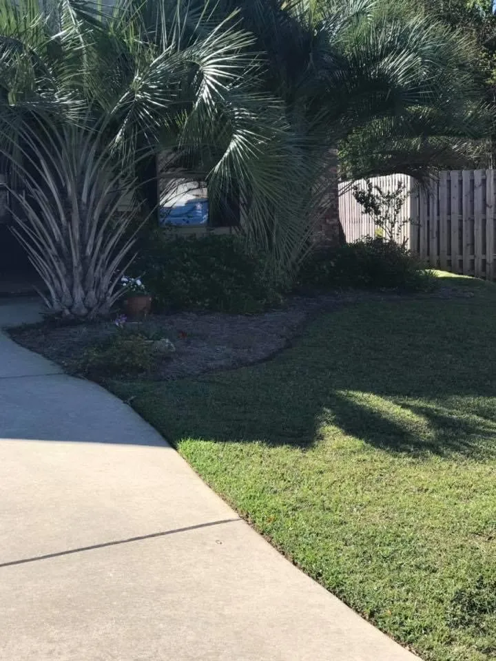 Top-rated yard maintenance in Mobile, AL - Yard Tamers Mobile