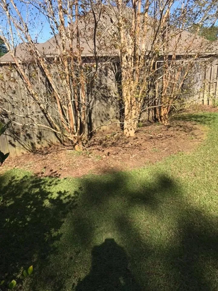 Affordable landscape installation experts serving Mobile, AL - Yard Tamers Mobile