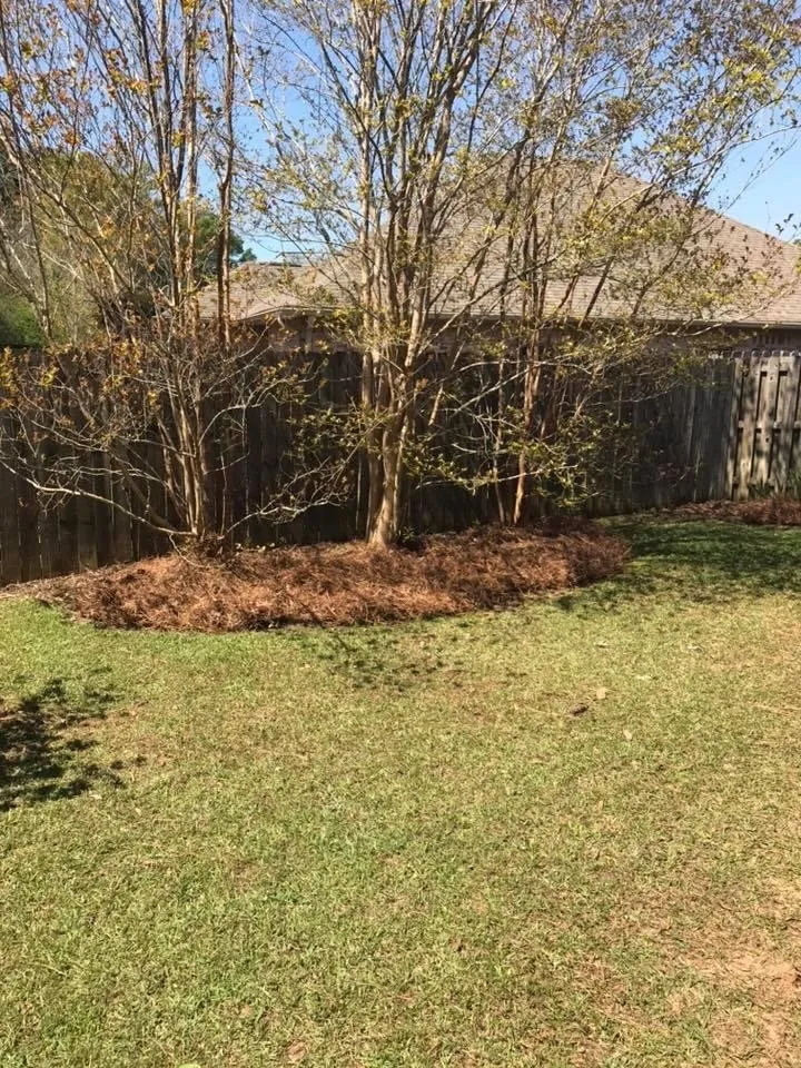 Expert yard cleanup service for outdoor upgrades across Mobile, AL - Yard Tamers Mobile