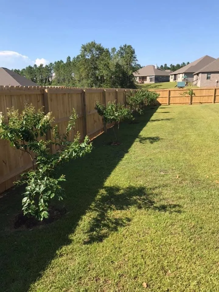 Professional outdoor landscaping in Mobile, AL by Yard Tamers Mobile