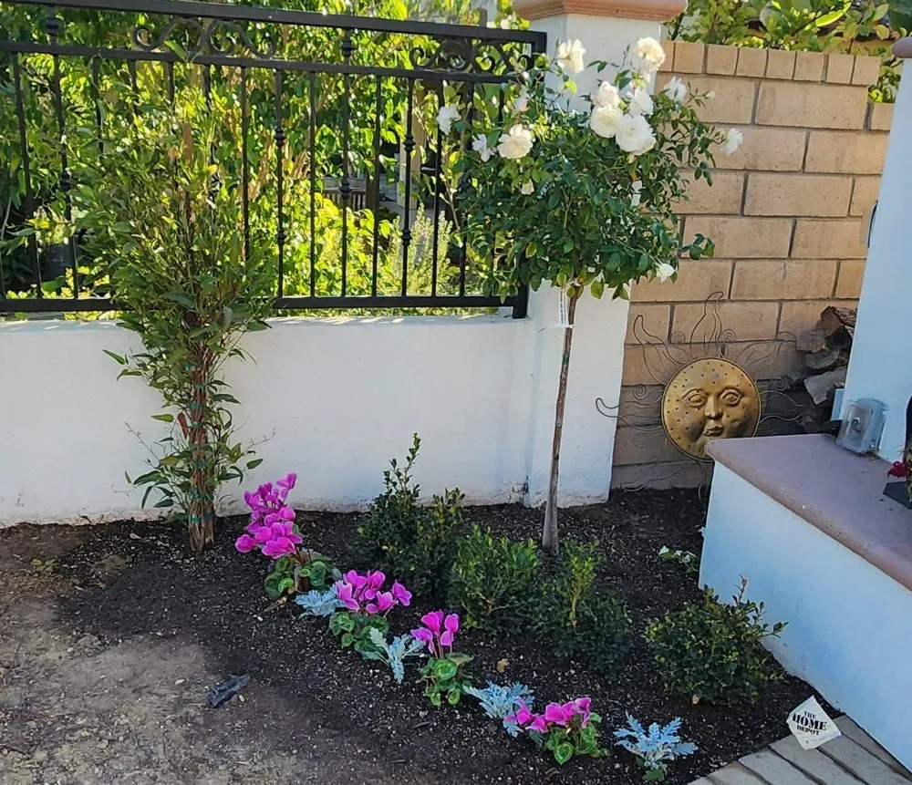 Expert lawn care service for outdoor upgrades in Corona, CA by Yard Techs